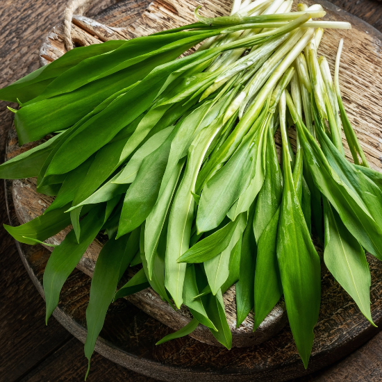 Wild garlic