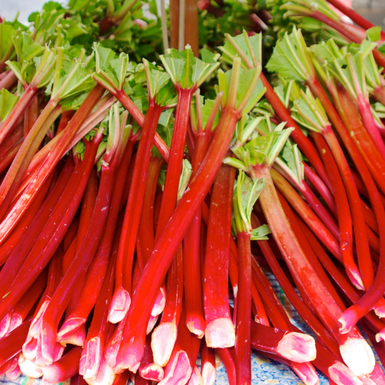 Rhubarb