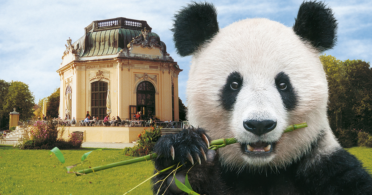 Zoo Schönbrunn - Partner of the Danube Tower