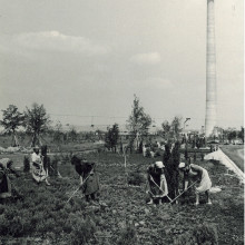 Donauturm copyright Lintl 2