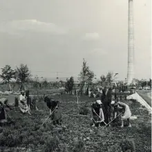 Donauturm copyright Lintl 2