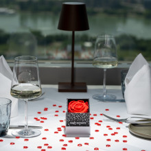 Donauturm Romantik Paket 1 Rose mit 2 Glaesern Sekt