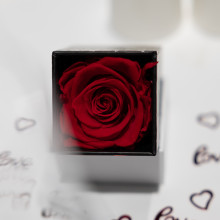 Donauturm Valentinstag Turm Restaurant 8