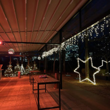 Donauturm Weihnachten Garten 1