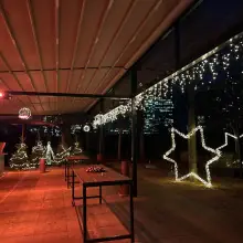 Donauturm Weihnachten Garten 1