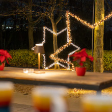 Donauturm Weihnachten Garten 2