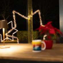 Donauturm Weihnachten Garten 5