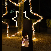 Donauturm Weihnachten Garten 7