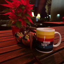 Donauturm Weihnachten Garten 8