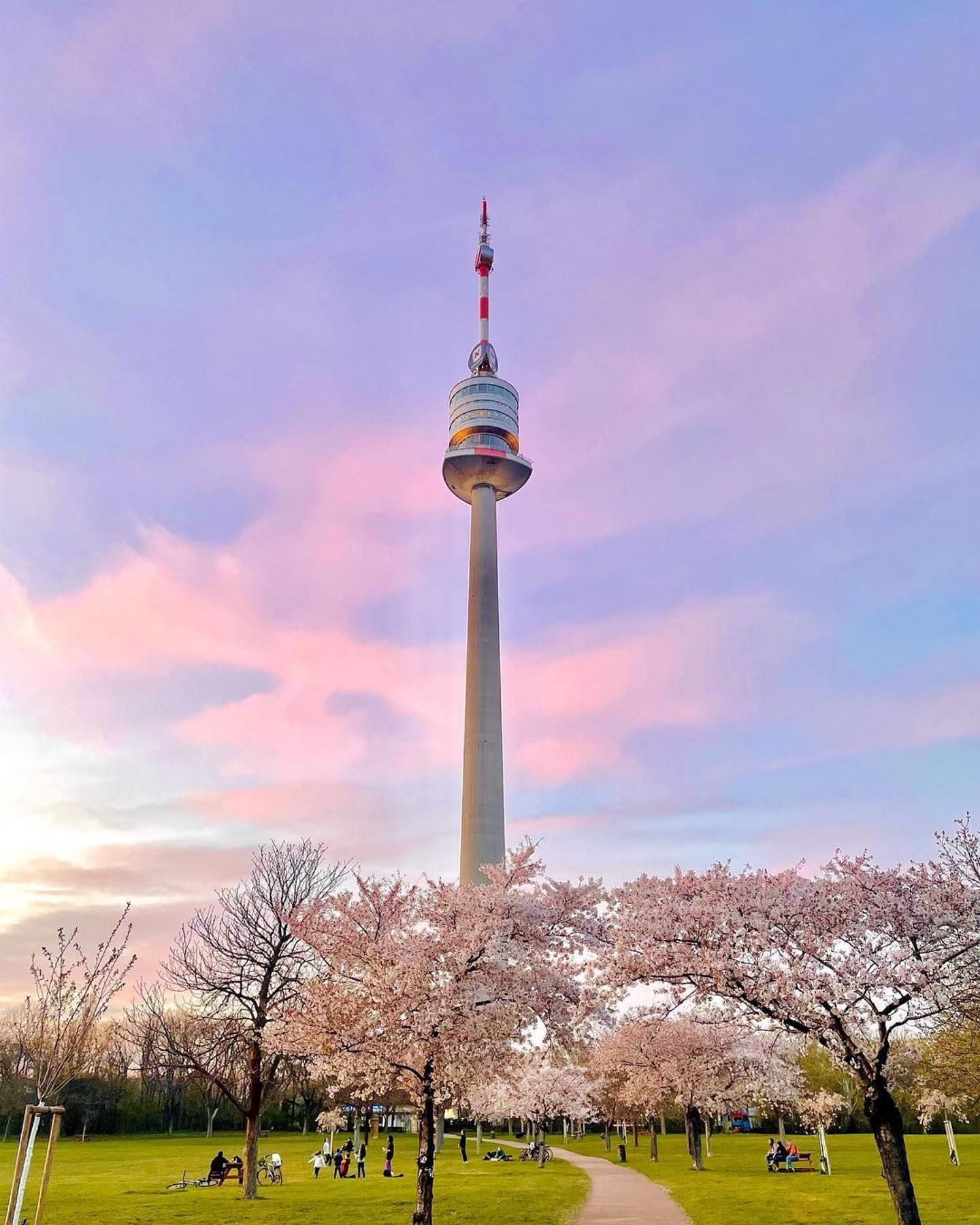 Spring and its blossoms by 📷 @tlin_o.1<br />
<br />
 #spring #vibes #donaupark #donauturm #vienna #sunset #cherryblossom #wienliebe #frühling