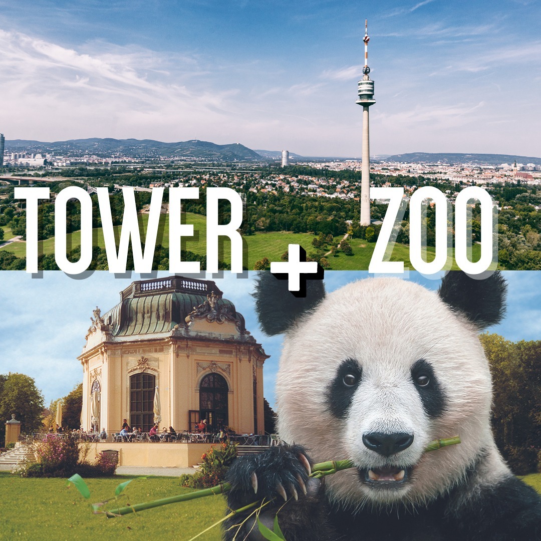 Plans for an exciting family weekend? <br />
With this combo ticket you have admission to the oldest zoo 🦁 in the world, the "Tiergarten Schönbrunn" and an unforgettable view of the city from our Danube Tower🌆. #Vienna #Schönbrunn #danubetower #donauturm