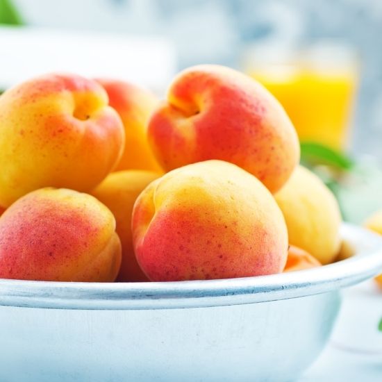 Apricot